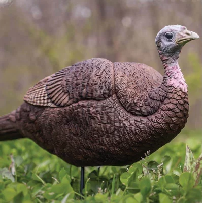 Gobbstopper lifelike decoy Combo Gobbstopper lifelike decoy Combo