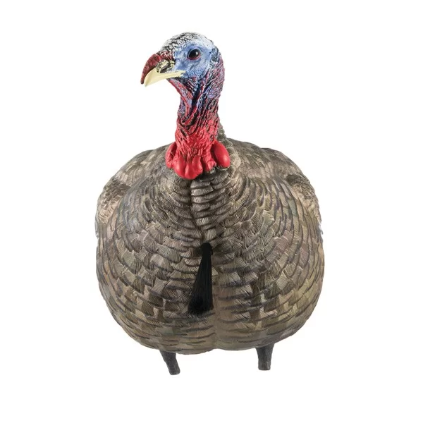 Avian-X appelant LCD Jake Quarter Strut 