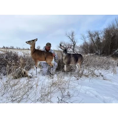 Montana dream team whitetail buck/doe combo decoy Montana dream team whitetail buck/doe combo decoy