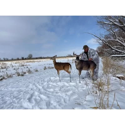 Montana dream team whitetail buck/doe combo decoy Montana dream team whitetail buck/doe combo decoy