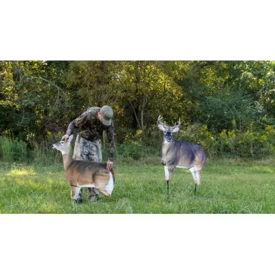 Montana dream team whitetail buck/doe combo decoy Montana dream team whitetail buck/doe combo decoy