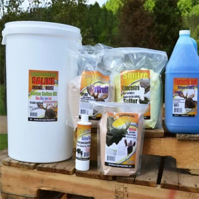 Monette Ensemble pour Saline ORIGNAL Anis