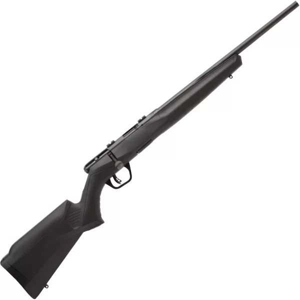 Savage B17 F 17 HMR Bolt Action Black Synthetic Rifle