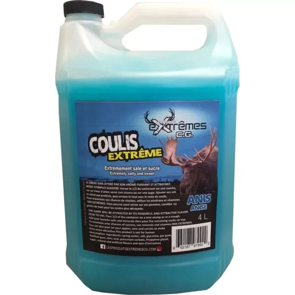 Coulis extrême saveur d'Anis 4L