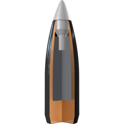 Winchester 22-250 Rem 55gr Ballistic Silvertip Fragmenting polymer tip